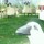 jackie_jackson14