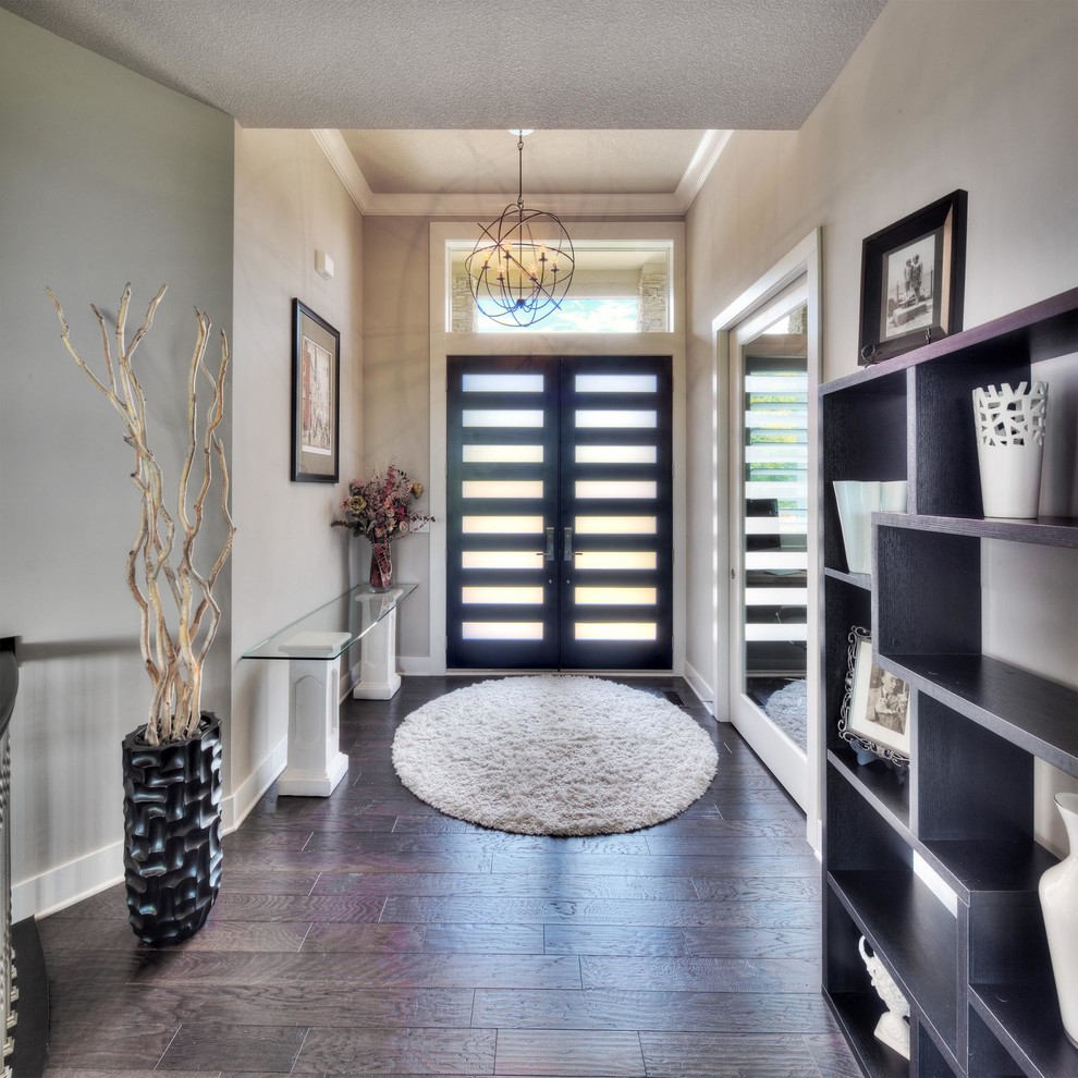 This is an example of a mid-sized transitional front door in Kansas City with beige walls, dark hardwood floors, a double front door and a dark wood front door.