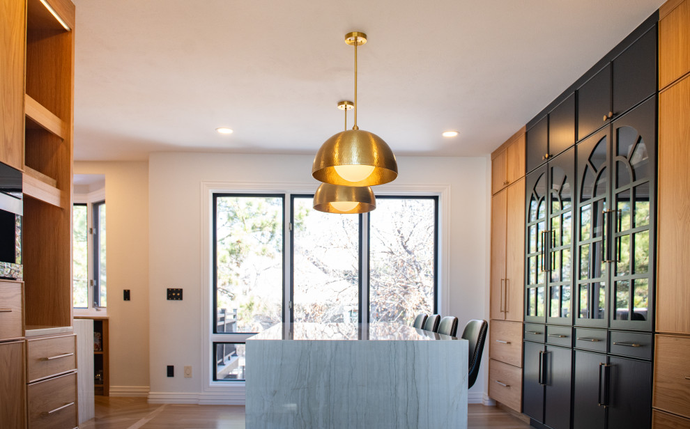 Transitional home design photo in Denver