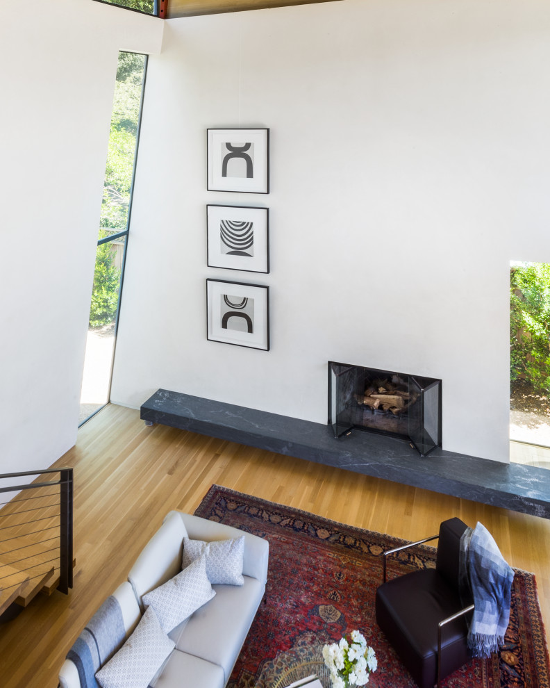 Mittelgroßes, Repräsentatives, Fernseherloses, Offenes Stilmix Wohnzimmer mit weißer Wandfarbe, braunem Holzboden, Kamin und Kaminumrandung aus Metall in San Francisco