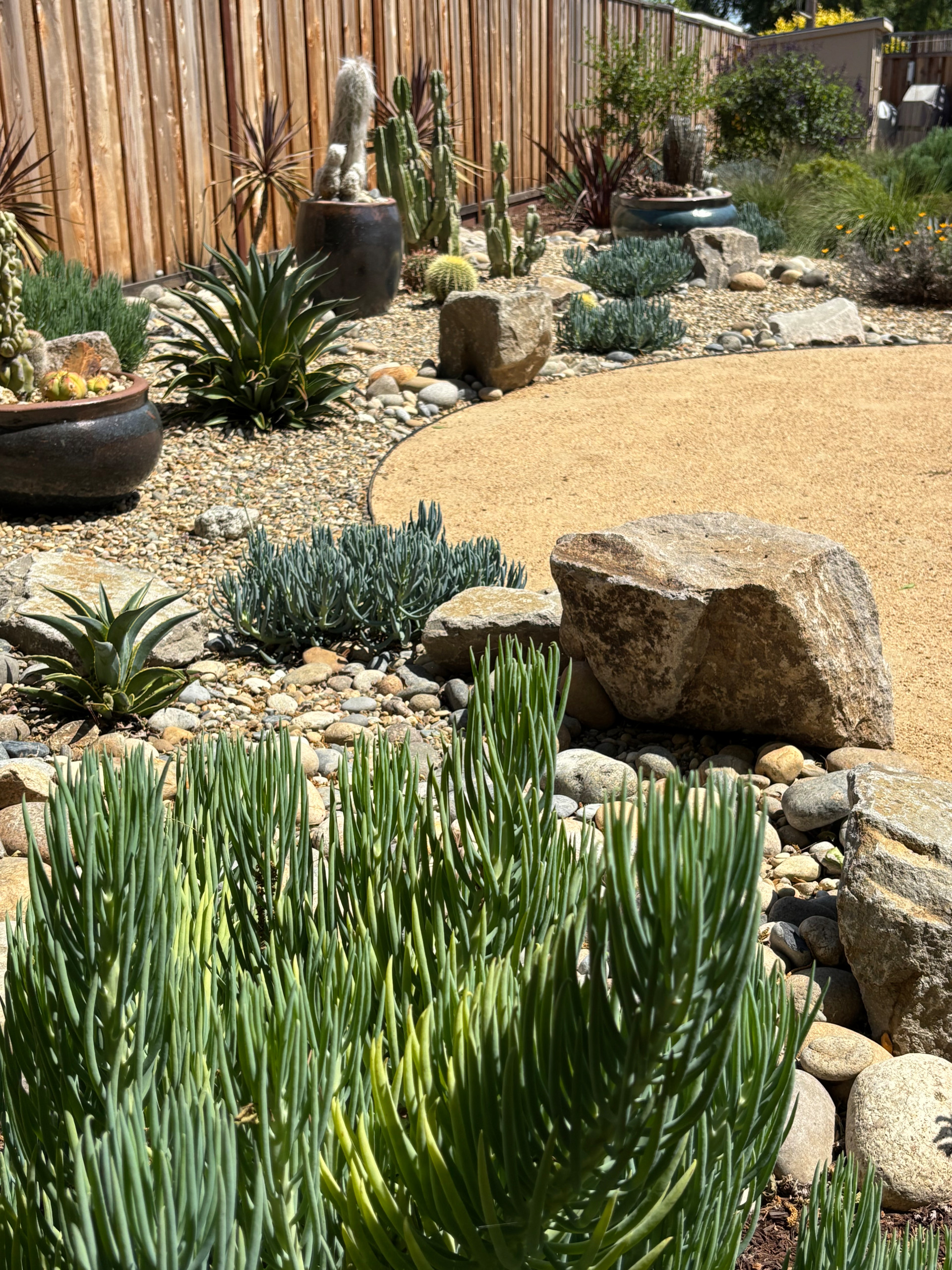 Sunny Fremont oasis