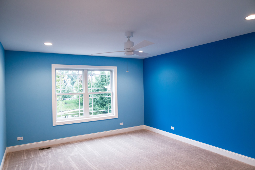 Mid-sized transitional master carpeted home design photo in Chicago with brown walls and no fireplace