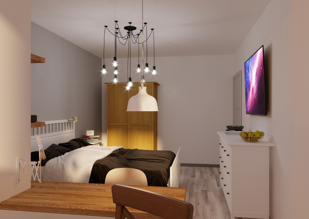 Просторная студия с отдельной спальней в скандинавском стиле