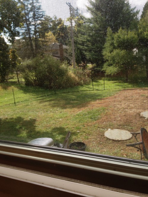 Disguising a raised bed septic system