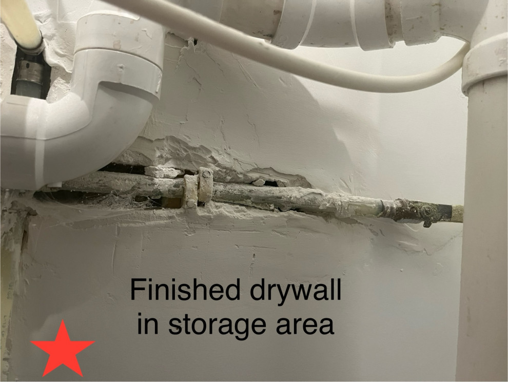 review not showing up?