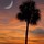wendy_plattsmith