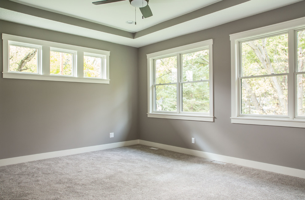 Home design - transitional home design idea in Minneapolis