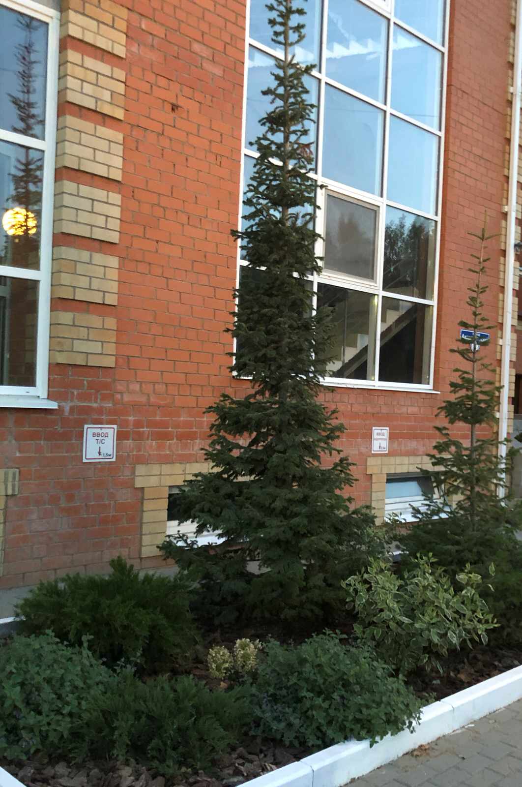 Зеленый уголок в каменных джунглях