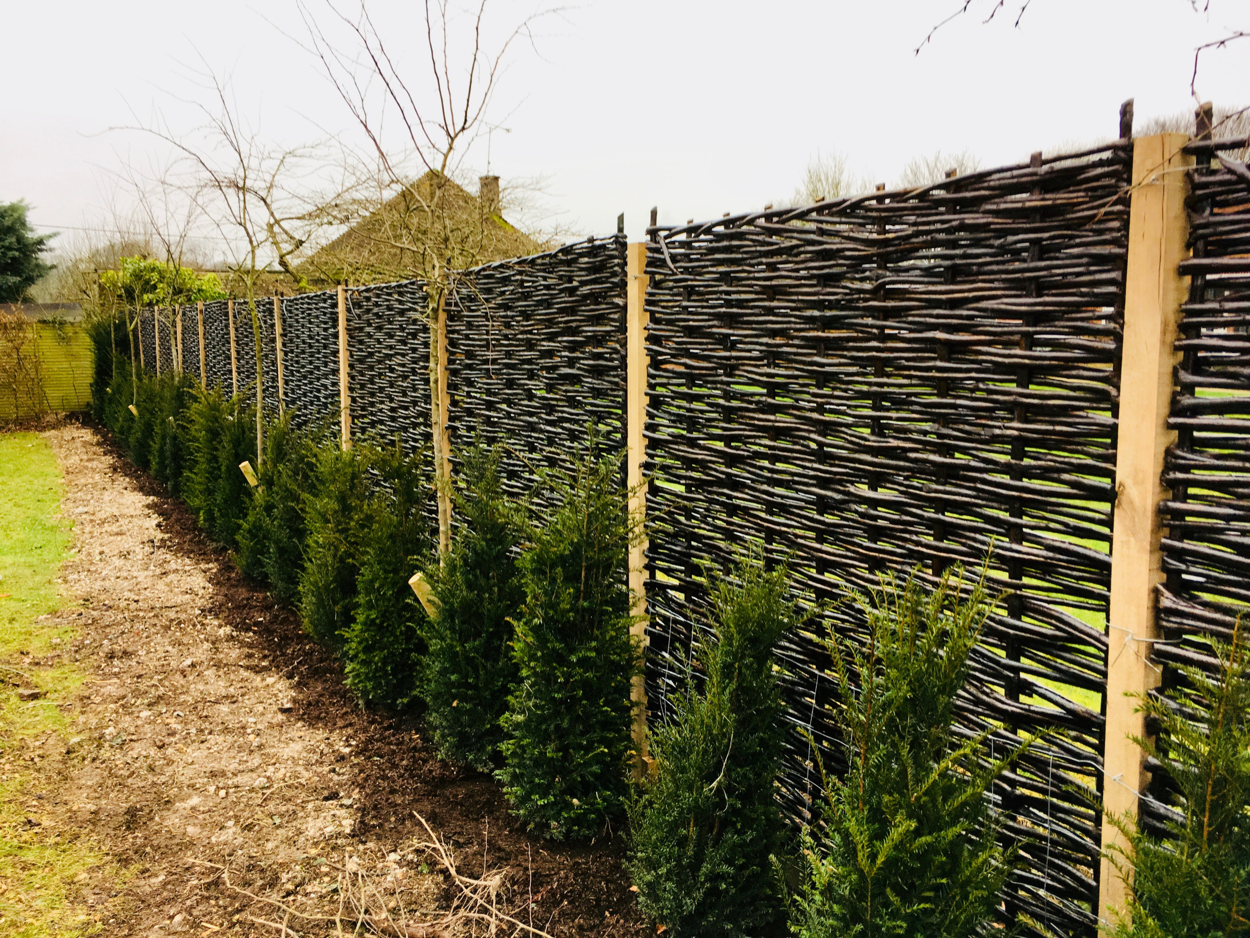 Garden Screening Ideas