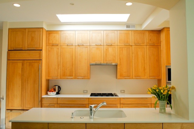 DC HOUSE contemporary-kitchen