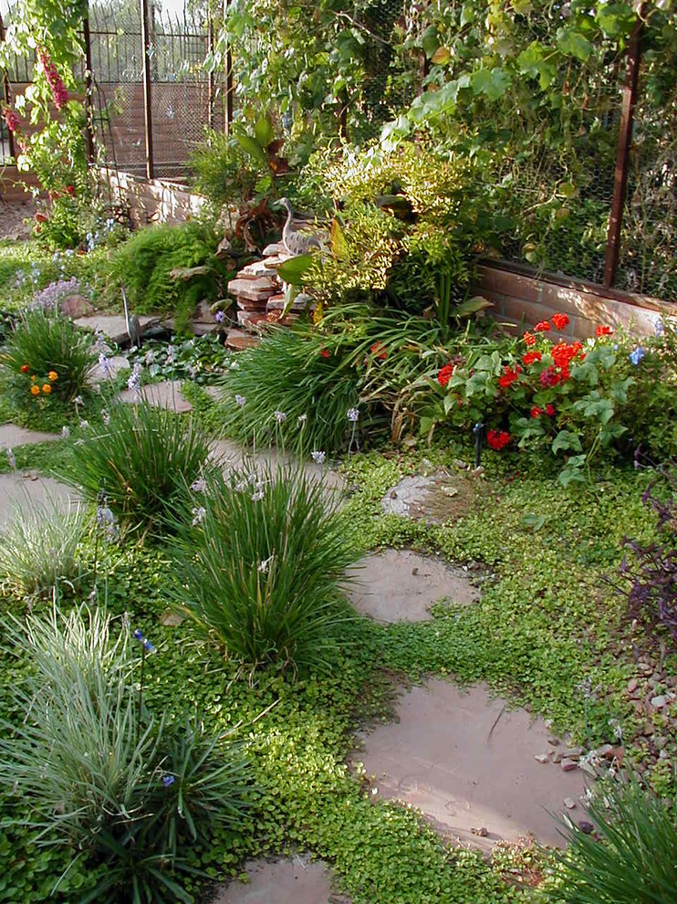 Design ideas for a mid-sized backyard full sun garden in Phoenix with a vertical garden and natural stone pavers.