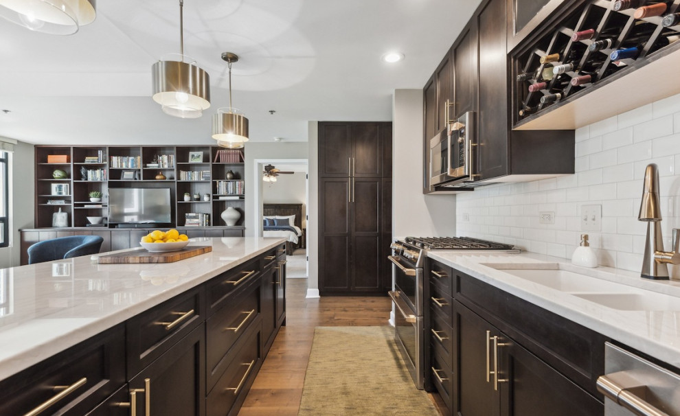 Kitchen - transitional kitchen idea in Chicago