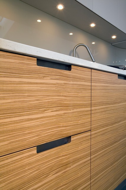 Olive ash veneered cabinets - Contemporary - Kitchen ...