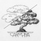 Carmona Design LLC