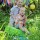 sheri_nichols