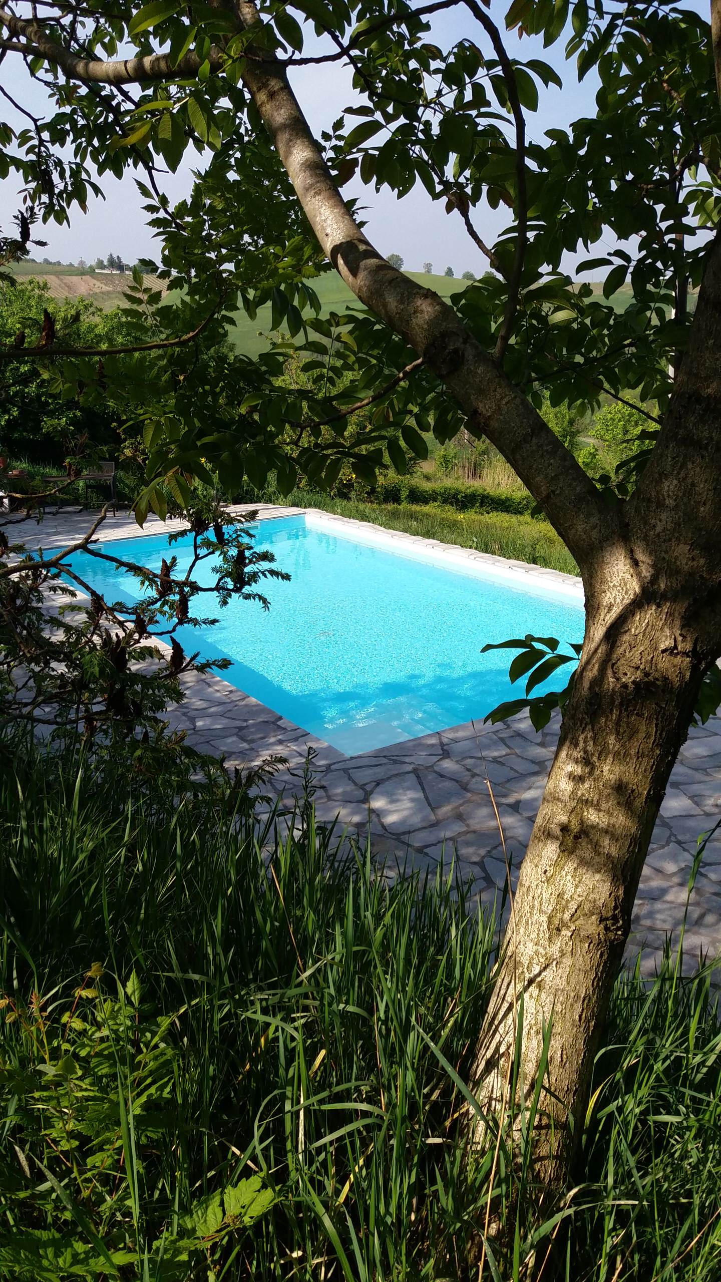 Oasis pool