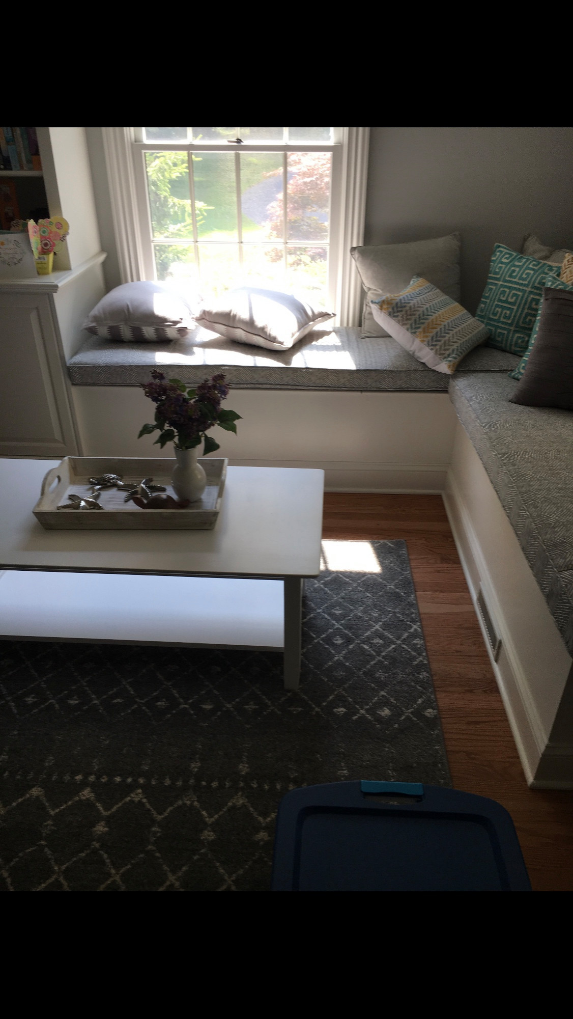Library and Window Seat