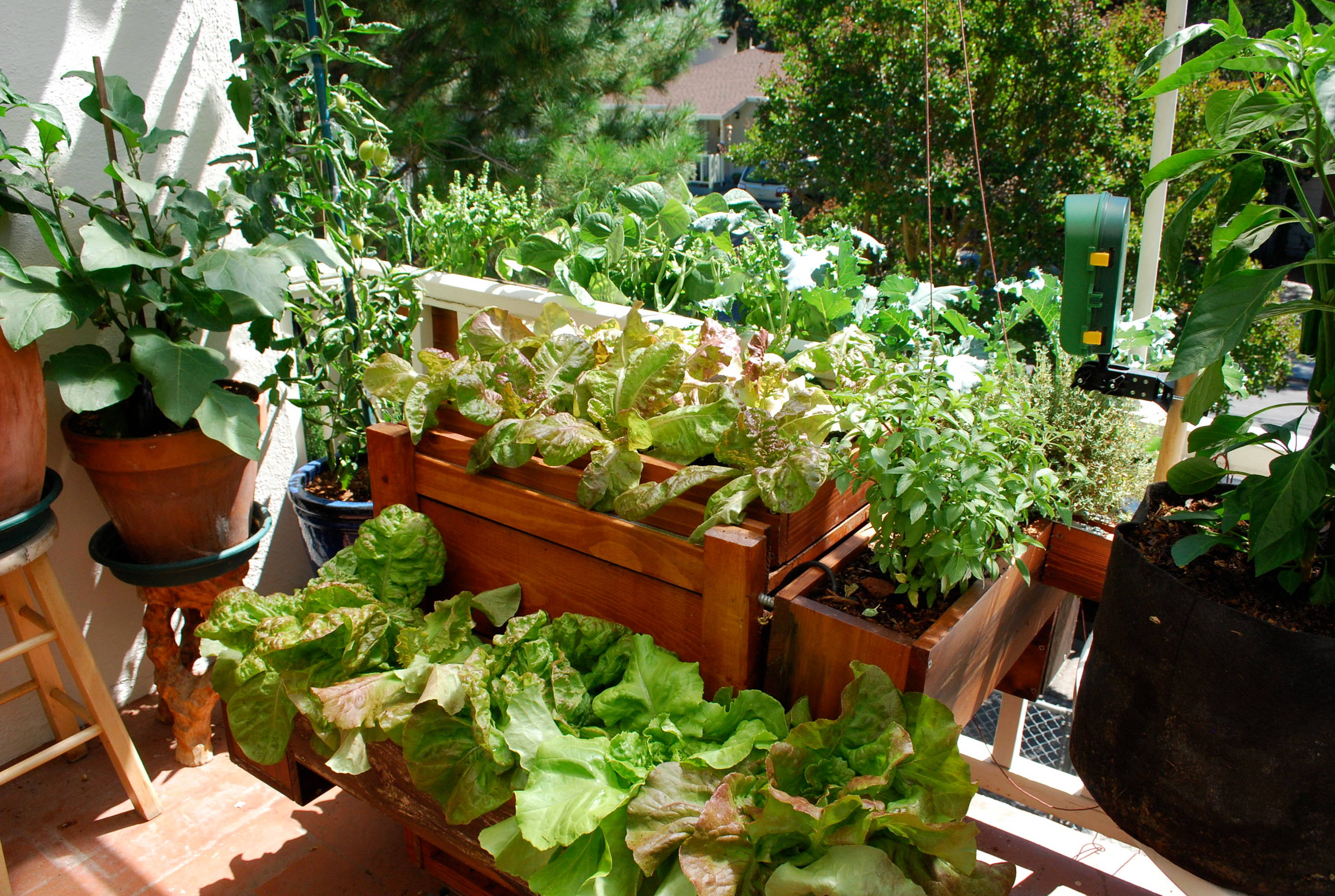 Grow Vegetables On Balcony