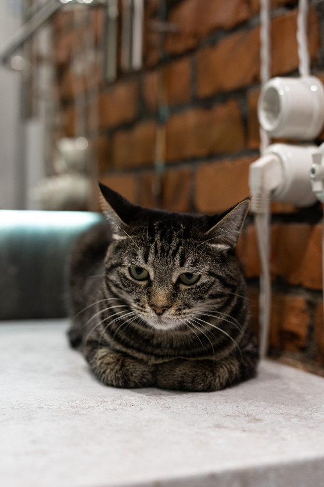 Двухкомнатная квартира в стиле лофт