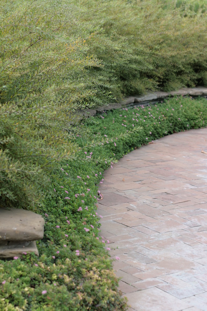 Бельгийка 01