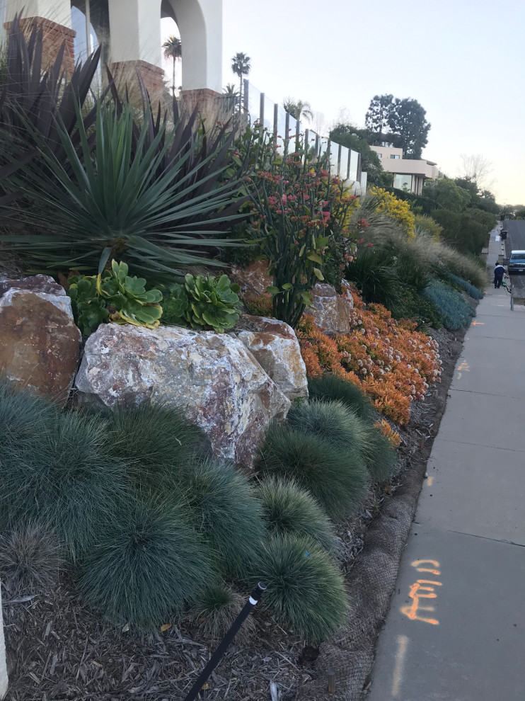 Inspiration for a beach style full sun xeriscape in San Diego.