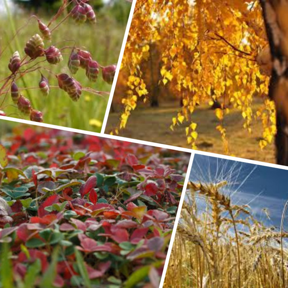 "Крыша русского дома". Проект зоны для детских игр