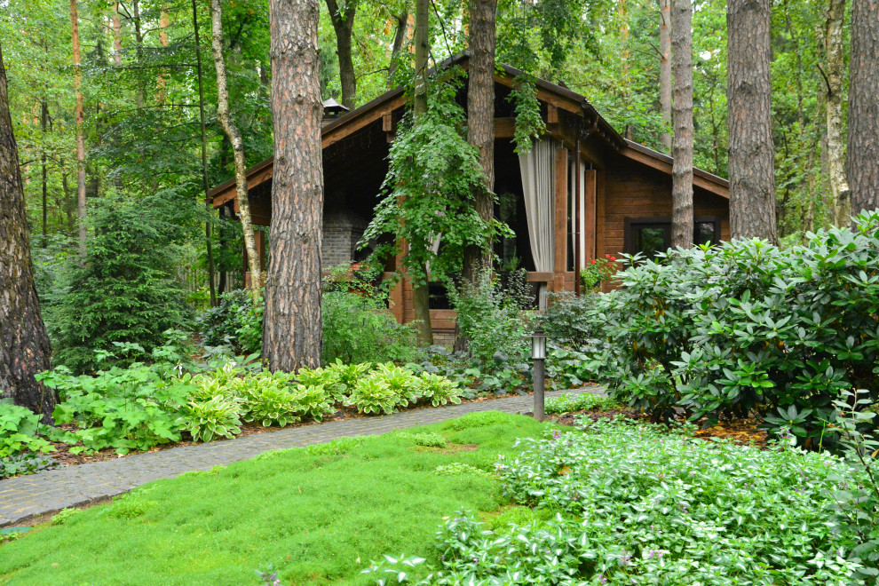 Заповедный бор