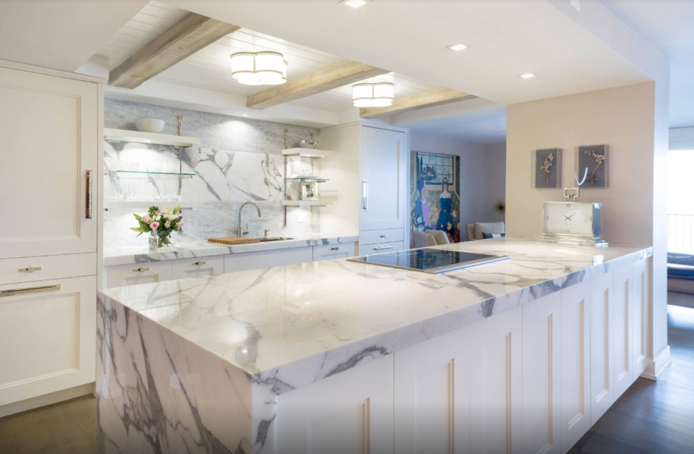 Inspiration for a transitional kitchen remodel in Chicago