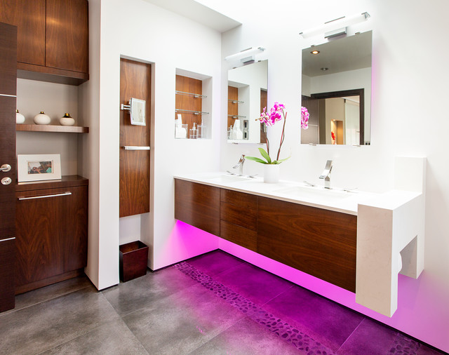 Palamarchuk contemporary-bathroom