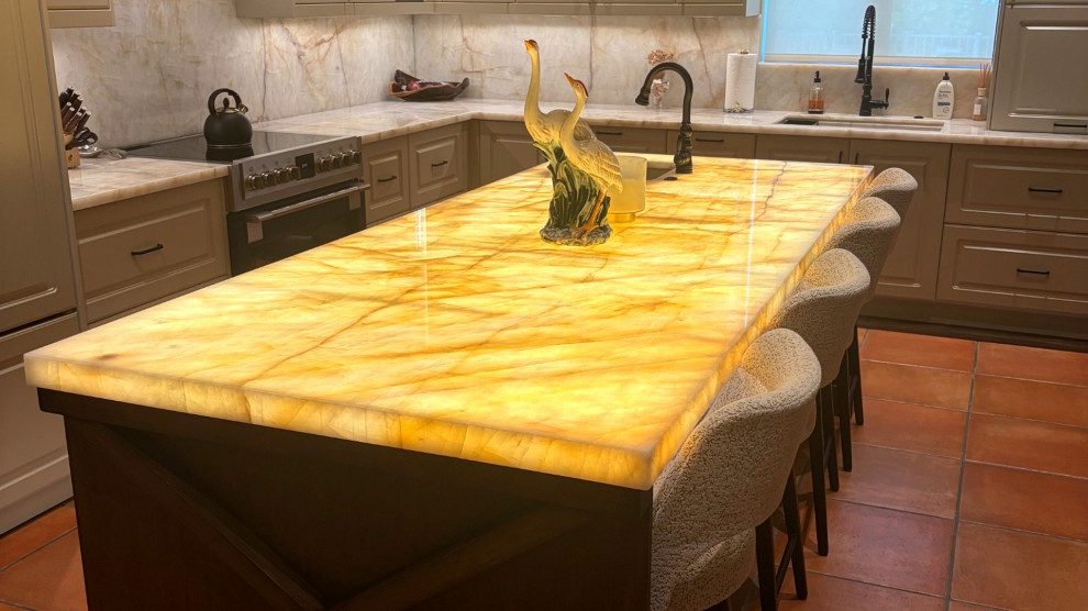 Kitchen - transitional kitchen idea in Miami