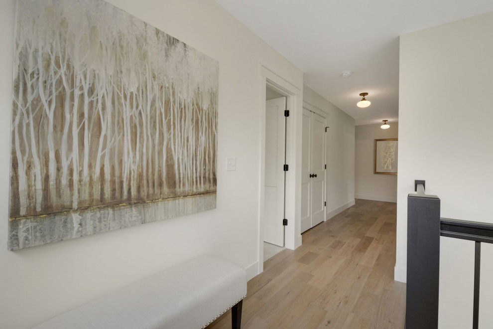 Home design - transitional home design idea in Minneapolis