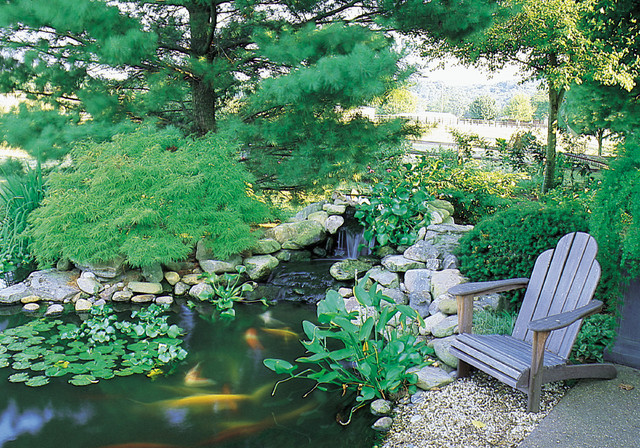 How To Make A Pond Houzz, How To Make A Small Fish Pond In Your Garden