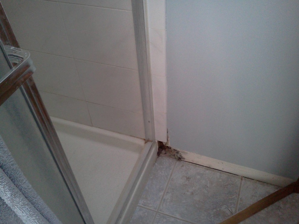 master bath repair (shower tile loose and drywall damaged)