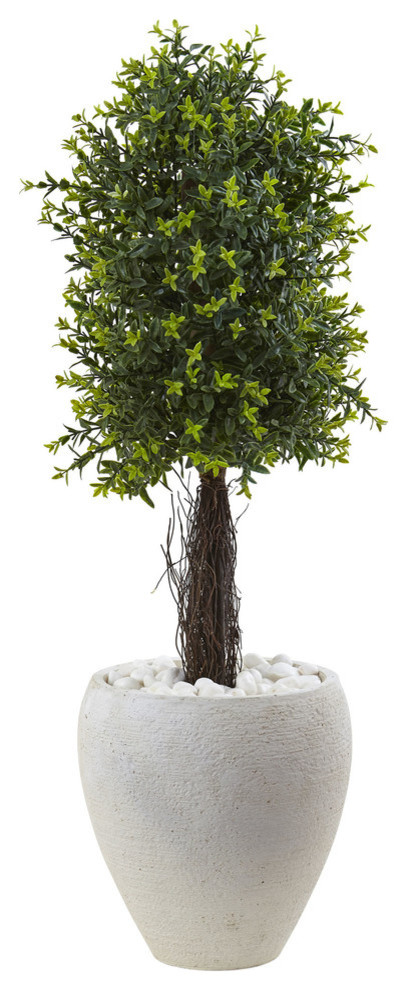 Ixora Topiary With White Planter UV Resistant, Indoor/Outdoor