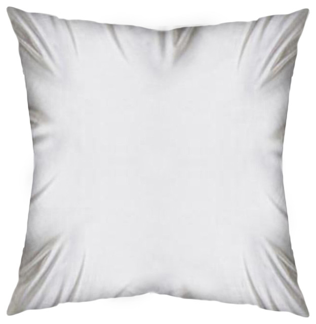 22 x 22 Down pillow insert Traditional Decorative Pillows by GwG