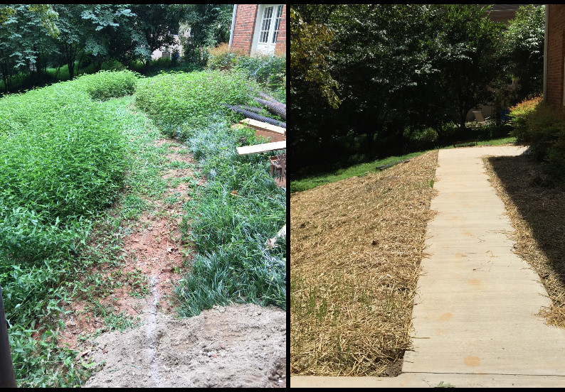Concrete Driveway, Concrete Walk, Concrete Pad, Modular Concrete Block Wall, Sod