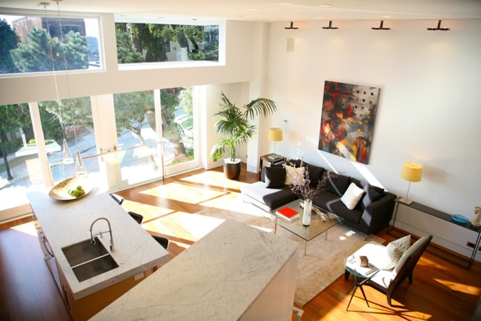 Design ideas for an expansive modern living room in San Francisco with white walls.