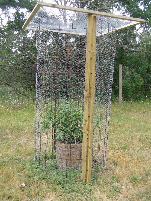 Critter Proof Cages