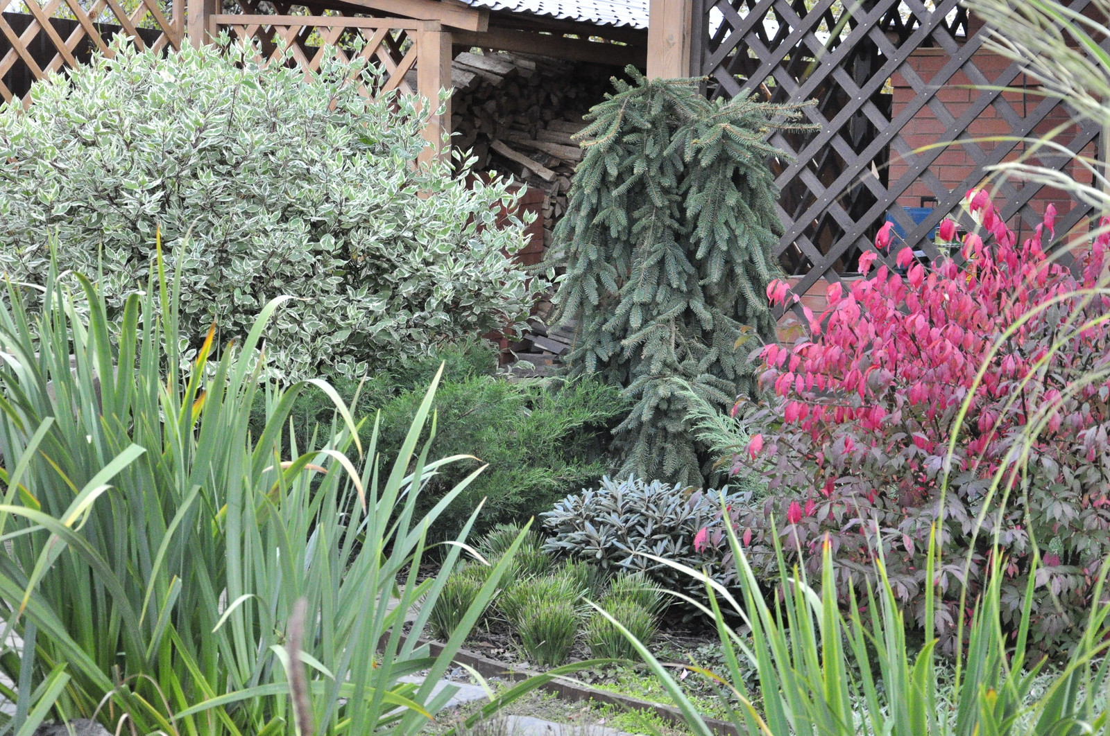 д. Коровино - Уход за садом - 100% качество