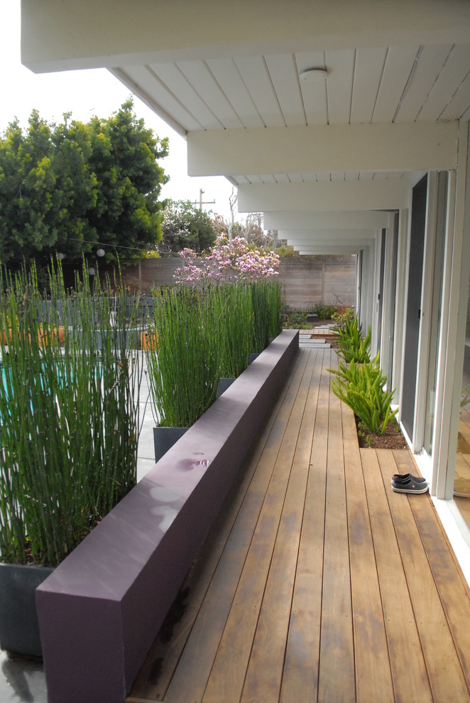 Design ideas for a midcentury backyard verandah in San Francisco.