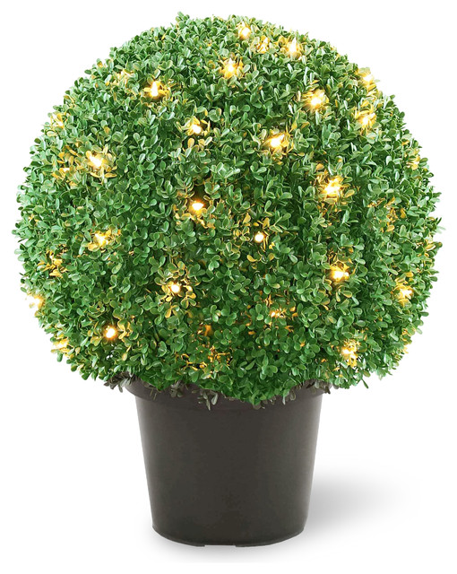 22" Mini Boxwood Ball Shaped Potted Topiary Tree With 70 Clear Lights