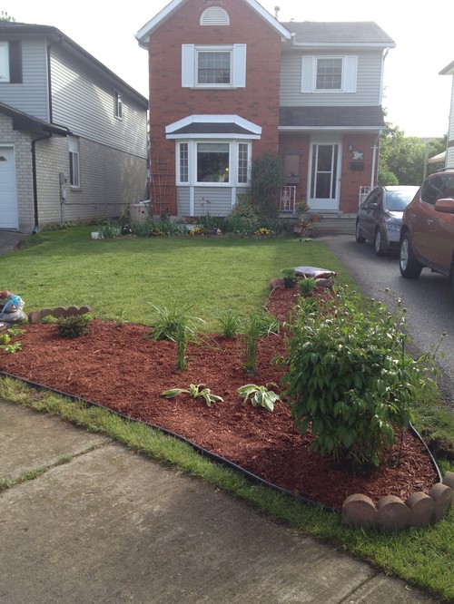 Was red mulch a mistake?