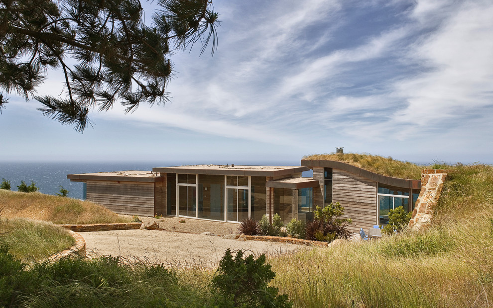 Design ideas for a contemporary exterior in San Francisco with wood siding and a green roof.