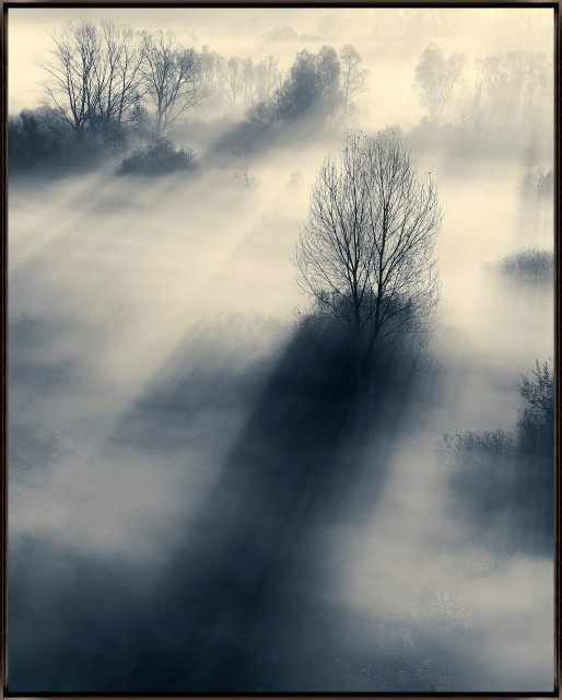 The Light Artwork, 24x30 - Contemporary - Prints And Posters - by ...