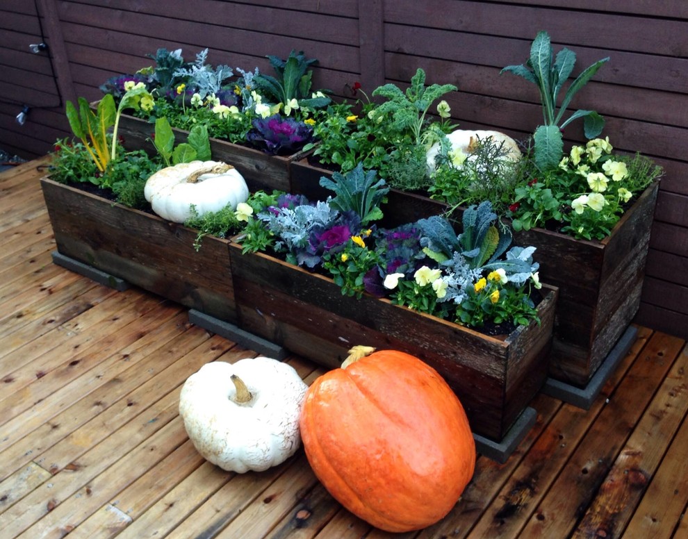 Photo of a country side yard deck in Seattle with a container garden and no cover.