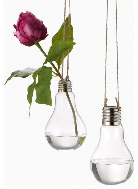 Serene Spaces Living Hanging Glass Lightbulb Vases, Small - Eclectic ...