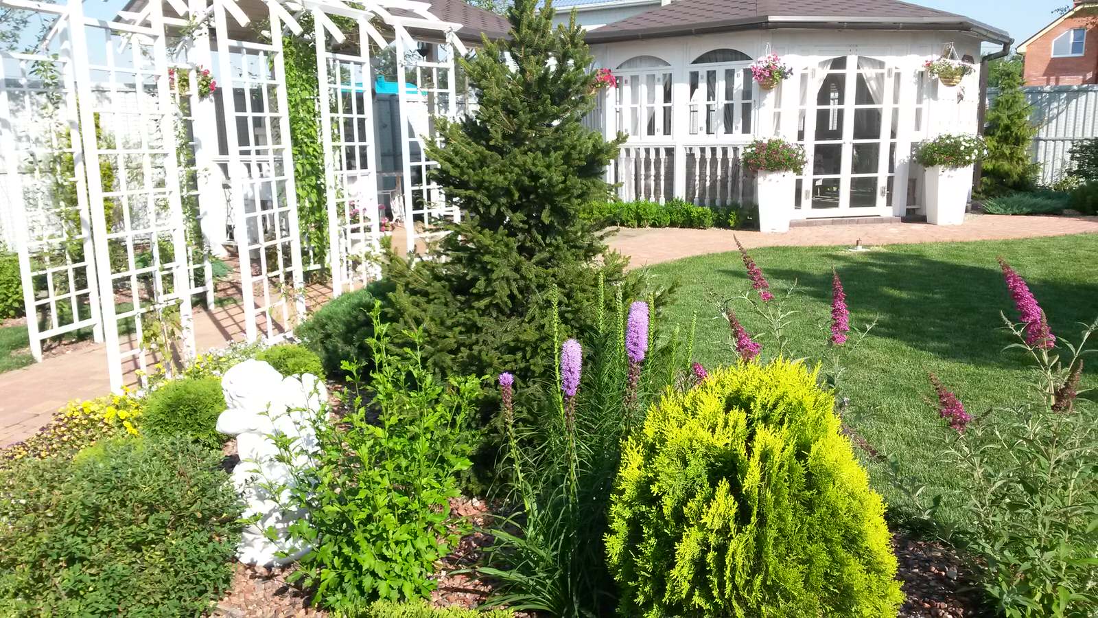 Цветы в саду