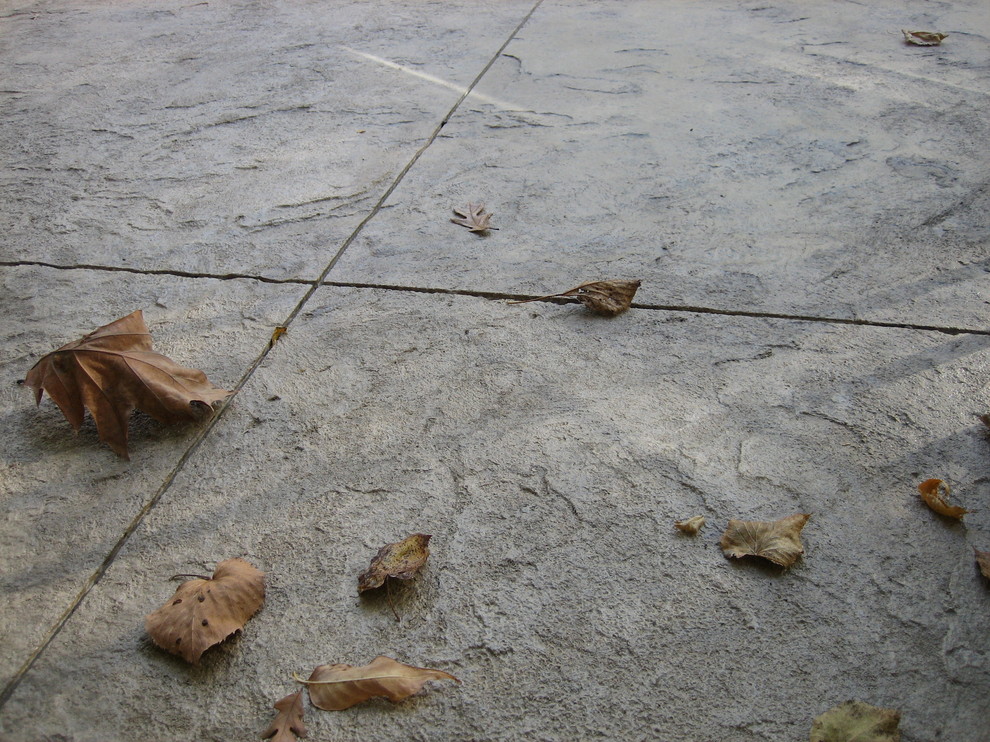 Example of a large transitional backyard concrete paver and rectangular natural pool house design in Cedar Rapids