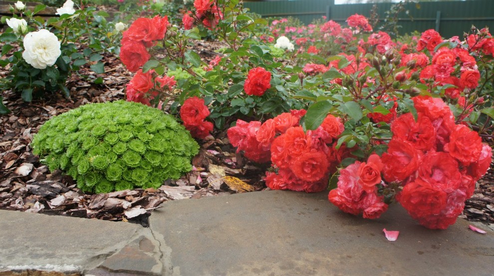 Сад  на холмах