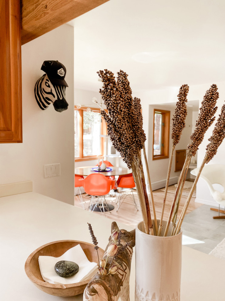 Kitchen - eclectic kitchen idea in Phoenix